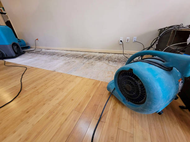 Professional Emergency Water Damage technician working in Modena, PA